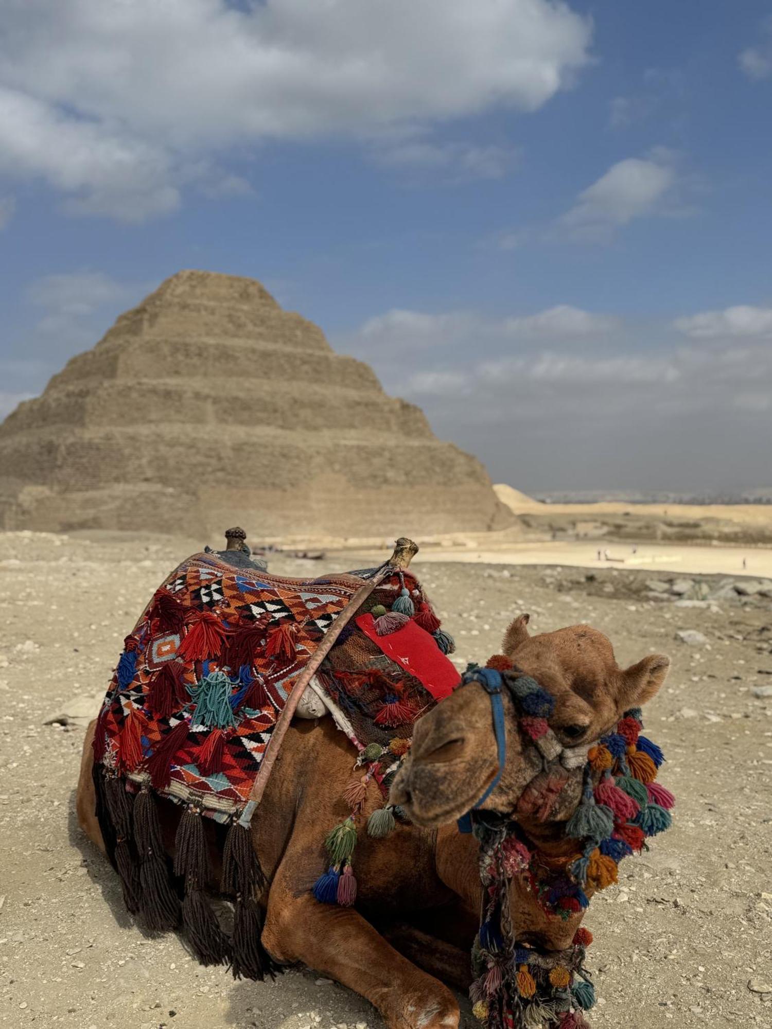 K Boutique Hotel Medspa-Pyramids & Grand Egyptian Museum Ghatati Exterior foto
